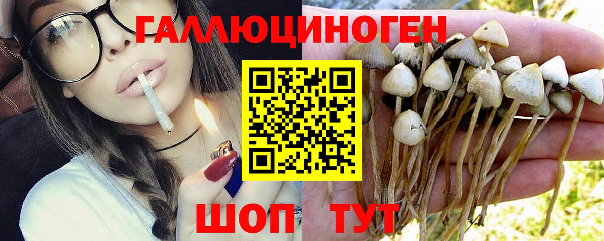 Псилоцибиновые грибы Psilocybine cubensis  Вход с VPN  Галлюциногенные грибы ЛСД  Самара 